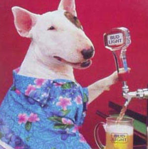 Meet your Posher, Ericka